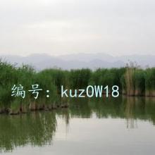 û