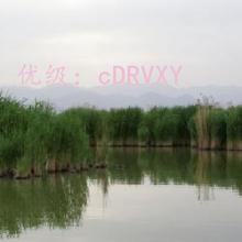 Ŀ